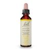 Bach Flower Essences Flower Essence Gentian, 20 ML