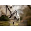 Equipride Working Hunter Bridle with Quick Release Snap Hooks Removable Flash (Full, Black)