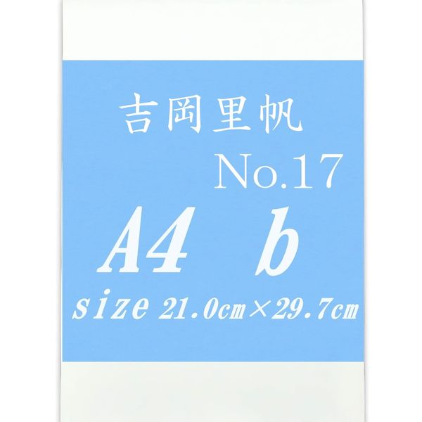 Riho Yoshioka A4-17 b