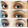Sexy Eyes Eyelash and Eyebrow Enhancer