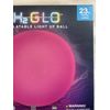 LED Night Light Ball ~ 23 inch Inflatable Pool Decor ~ 16 Colors + remote H2 GLO