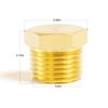 ChillWaves Brass Pipe Fitting, Outer Hex Head Socket Pipe Plug Fitting 1/2" NPT Male Thread Adapter(12-PACK)
