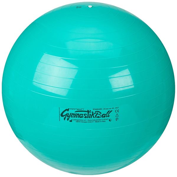 Pezziball Gymnastikball Pezzi 65 cm