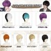 Hawkko Men's Wig, Short Full Wig, Men's Clothing, Black, Men's, Harajuku, Cool, Handsome, Natural, Small Face, Heat Resistant, Popular, Wig, Fashion, Imechen, Unisex, Short Hair, Net / Comb Included (Black Brown)