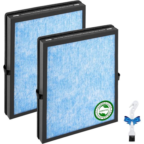 Cobectal MK04 MG04JH Replacement Filter Compatible Aroeve MK04 MG04JH, 2-Pack