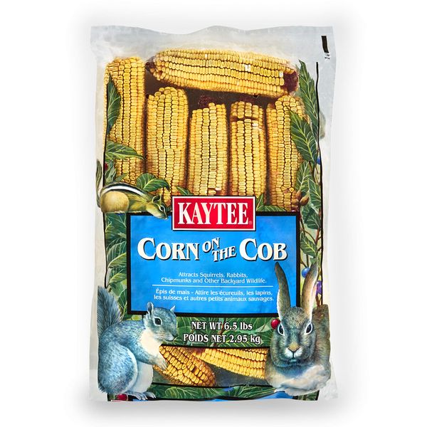 Kaytee Corn On The Cob Food For Wild Squirrels, Rabbits, Chipmunks and Other Backyard Wildlife, 6.5 Pound