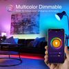 2 Pack WiFi Smart LED Bulbs Multicolor  9W(60W) 800 lm E26 Google Home/Alexa