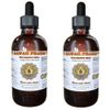 Solomon's seal (Polygonatum odoratum) Liquid Extract 2x2 fl.oz