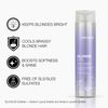 Joico Blonde Life Shampoo|Conditioner