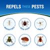 Cutter Backwoods Insect Repellent, Mosquito Repellent, 25% DEET, Sweat Resistent, 6 Ounce (Aerosol Spray)