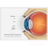 vision care vitamins - EYE VISION GUARD - lutein supplement 1B