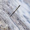 Guru Feeder Links Pack Of 3: Small