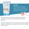 esfolio Rose Cleansing Foam – Gentle Daily Face Cleanser with Soothing Rose Extract for Hydrating and Refreshing Skin, Removes Dirt and Excess Oil, Suitable for All Skin Types (5.29 OZ-150ML)