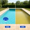 Medication Box Pool Medication Device Floating Medication Device for Pool Disinfection Pool Accessories (style)