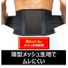 Pip Pro Fits Waist Supporter, Medium, Thin, Compression