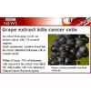 antioxidant supplement for men - GRAY HAIR – GRAPE SEED EXTRACT COMBO 2B - grape