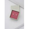 Ted Baker Harly Tiny Heart Stud Earrings For Women (Rose Gold)