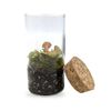 Mini Terrarium 10cm