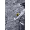 Salewa ERGO belay system - Insurance Device, Unisex, Black, One Size