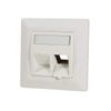 Logilink Professional Keystone NK4021 Flush-Mounted Box for 2 Keystone Sockets/Modules with 45° Outlet