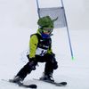 COOLCASC TRICERATOPS Multisport Helmet Cover
