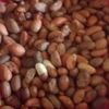African Bitter Kola Nut  Powder  2 Oz Powder - High Potency