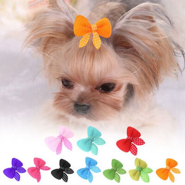 10pcs Multicolor Cat Dog Hair Bows Hair Clips Beauty Pet Grooming V X8F1