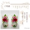 Phalaenopsis Denfare Dome Versus Design SET (Clear Pink)