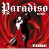 Paradiso~愛の迷宮~(初回生産限定盤)(DVD付)
