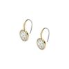 Fossil Women's Stainless Steel with Hook closure Earrings
