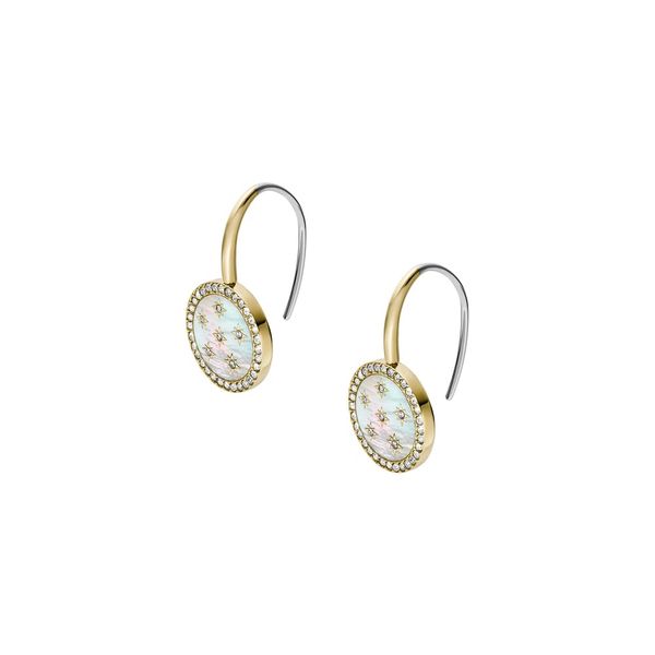 Fossil Women's Stainless Steel with Hook closure Earrings