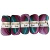 Papatya Batik Yarn 5 Pack Self Striping Yarn - 5 x 100g DK