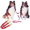 Adjustable Triple Dog Leads - Medium - Step 4 Red - Walk 3 Dogs at Once