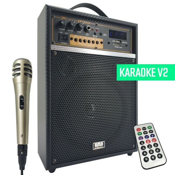 300W Rechargeable Karaoke Amplifier Speaker Combo Bluetooth MIC SD USB ECHO V2