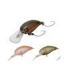 Rodeo Craft Panicra MR Rodeo ver #05-2015 Knob Collar