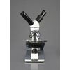 Vision Scientific VME0018-ST-RC Dual View Elementary Level Compound Microscope