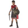 Child Hercules Costume - L