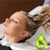 Tea Tree Everyday Shampoo
