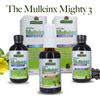 Natural's Answer MulleinX Cough Syrup, 120 ml