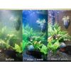 Natural Water Cleaner For Aquarium