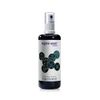 'Angel Angel Aura Essence – Korathel "