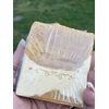 Pumpkin-Woodsy Vegan Soap Handmade Soap