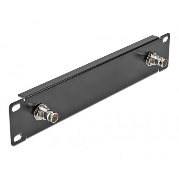 Delock 10 Inch Panel with 2 x BNC Sockets 1 HE Black