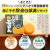 Persimmon Shibu Soap, Medicated Dad's Soap, Cachitanin, Anti-Aging Odor, Prevents Armpits, Quasi-Drug, 3.2 oz (90 g)