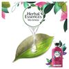 Herbal Essences Bío: Renew Clean