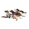 K9 Powerharness, Size: 2XL/3, Anthracite