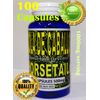Cola de caballo Horsetail shave grass/shavegra