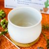 Succulent DIY Kit - 2.5” White Pot & Tray
