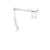 BURTON Task Examination Light Head & Arm, SE50, 120V, Ceiling (no mount) 4000062