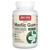 Vegan Mastic Gum, 1,000 mg, 120 Veggie Capsules